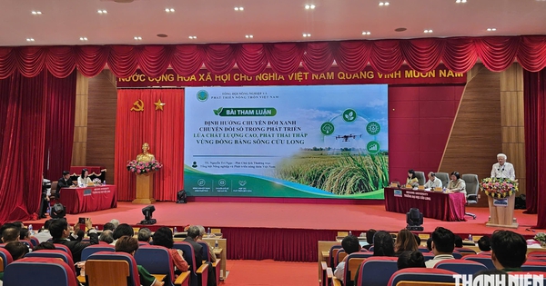 Giải pháp cho sản xuất lúa chất lượng cao, phát thải thấp vùng ĐBSCL