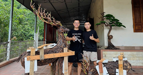 Sáng tạo độc đáo từ gỗ lũa