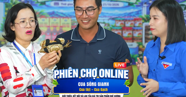 Bí thư phường ở Quảng Trị livestream bán cua, hàu, nông sản..., chốt hàng trăm đơn