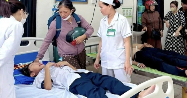 Đàn ong tấn công do bị chọc phá tổ, 27 em học sinh nhập viện