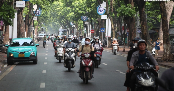 Hà Nội định hướng cây xanh đặc trưng cho tuyến phố nội đô thế nào?