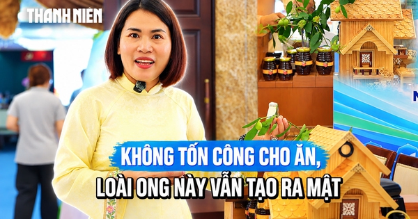 Không phải nông dân, người phụ nữ khởi nghiệp với đàn ong 'không cần cho ăn'