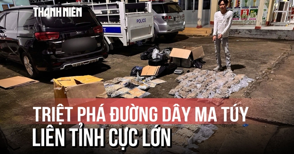Lần theo dấu vết quán bar: Bóc gỡ đường dây cần sa liên tỉnh, bắt 151 người