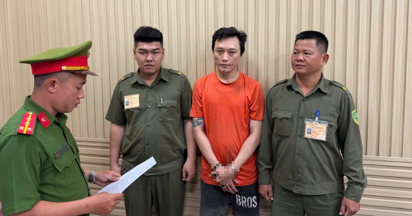 Bắt giam người đàn ông cầm gậy đập phá ô tô trên đường ở TP.HCM
