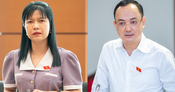 Đại biểu Quốc hội đề nghị chế tài mạnh 'giữ đất chờ tăng giá'