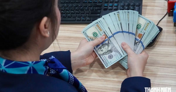 Giá USD hôm nay 22.10.2026: Giảm về sát mức 26.000 đồng/USD