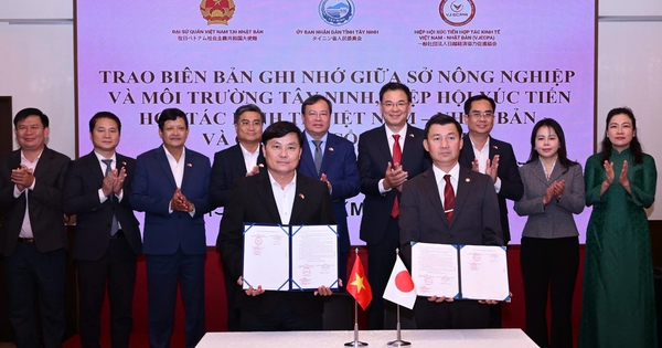 Qua Nhật xúc tiến đầu tư, Tây Ninh ký 7 biên bản hợp tác hơn 20 triệu USD