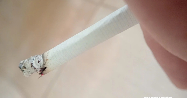 Thuốc lá dễ nghiện, khó cai hơn rượu và cần sa