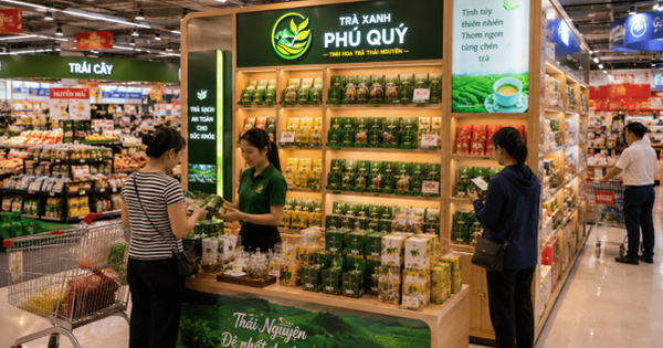 Trà Xanh Phú Quý - Tinh hoa trà Thái Nguyên