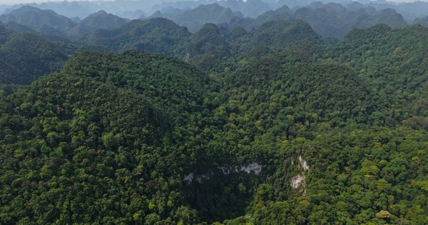 Phát hiện hố sụt lớn, sâu 120 m ở rừng Phong Nha - Kẻ Bàng