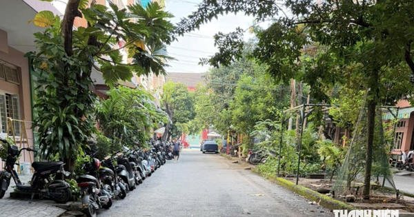 Bãi giữ xe từng đầy xe máy trên 50cc của học sinh ở TP.HCM giờ ra sao?