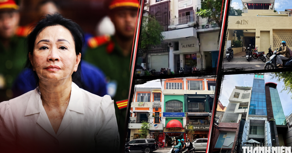 Đấu giá không thành 4 bất động sản gần 375 tỉ của bà Trương Mỹ Lan