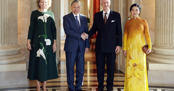 Tổng Bí thư, Chủ tịch nước Tô Lâm hội kiến Nhà vua Bỉ Philippe