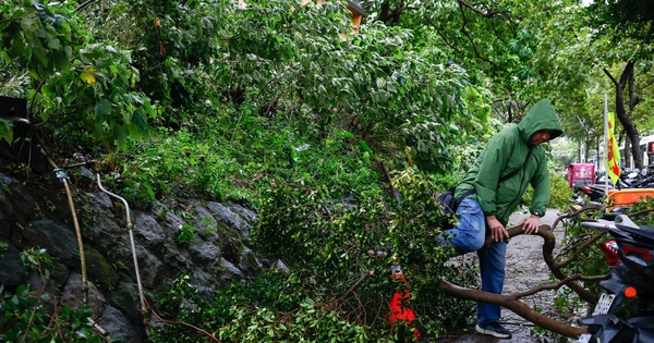Bão Champi gây thiệt hại diện rộng tại Đài Loan, đang di chuyển tiếp