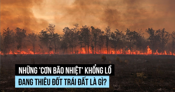 Nhiều 'cơn bão nhiệt' khổng lồ đang thiêu đốt trái đất, vì sao?