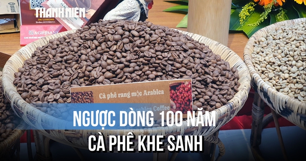 Ngược dòng 100 năm cà phê Khe Sanh, thưởng thức hương vị giữa miền đất Quảng Trị