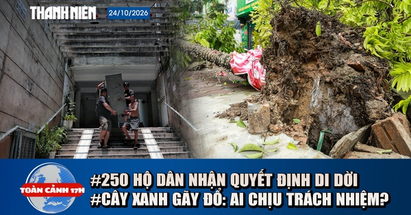 Toàn cảnh 17h: 250 hộ cư xá Thanh Đa nhận quyết định cưỡng chế | Cây đổ đè tài sản: Ai phải bồi thường?