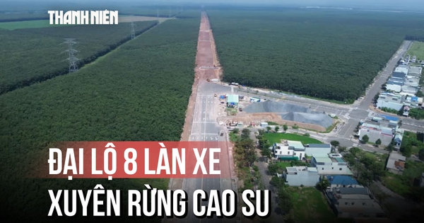 Cận cảnh đại lộ 8 làn xe xuyên rừng cao su kết nối sân bay Long Thành