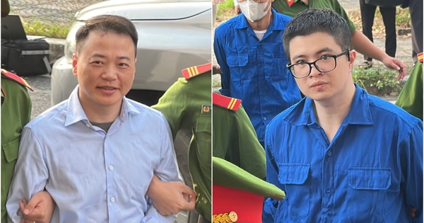 Dẫn giải Shark Bình và Mr Pips tới tòa