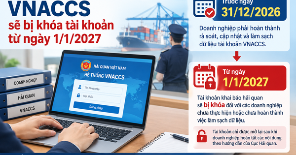 Doanh nghiệp chưa làm sạch dữ liệu hải quan sẽ bị khóa tài khoản từ ngày 1.1.2027