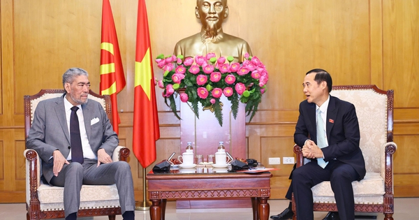 Việt Nam thúc đẩy hợp tác với Đảng MIU Cộng hòa Dominica