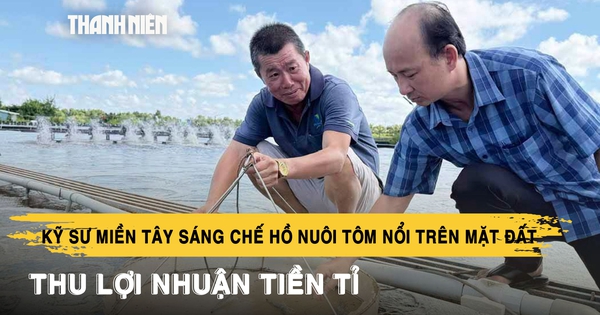 Kỹ sư miền Tây sáng chế hồ nuôi tôm nổi trên mặt đất, thu lợi nhuận tiền tỉ