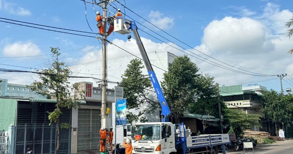 Điện lực Phú Tài bảo đảm nguồn điện cho sản xuất công nghiệp