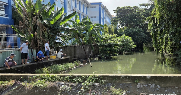 TP.HCM đề xuất chi gần 7.300 tỉ cải tạo kênh Hy Vọng, rạch Bàu Trâu