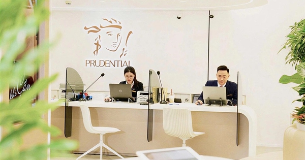 Hoạt động và dịch vụ của Prudential tại thị trường Việt Nam
