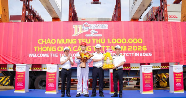 Cảng Tân Cảng - Cái Mép Thị Vải 3 năm liên tiếp đạt mốc 1 triệu TEU