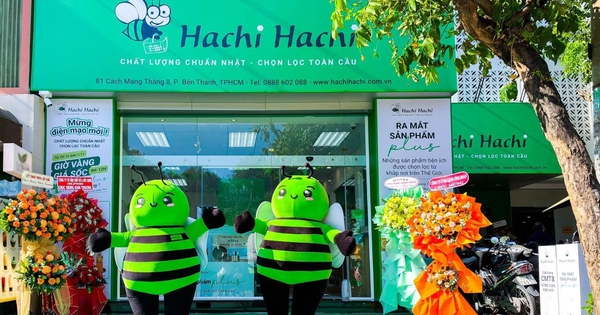 Hachi Hachi ra mắt Plus, mở rộng lựa chọn cho gia đình Việt