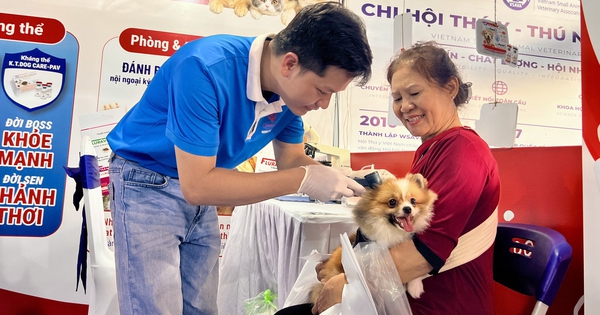 Ngày hội thú cưng ở TP.HCM: Khám sức khỏe, tặng quà miễn phí