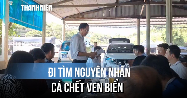 Lập đoàn kiểm tra, tìm nguyên nhân cá chết bất thường ven biển Quảng Trị