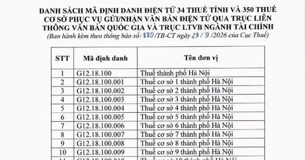 Mã định danh điện tử mới của 34 thuế tỉnh, thành phố và 350 thuế cơ sở