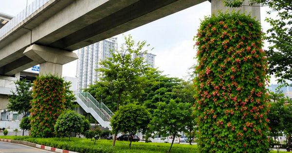 Hà Nội thí điểm trồng cây phủ xanh trụ cầu đường sắt, hầm chui