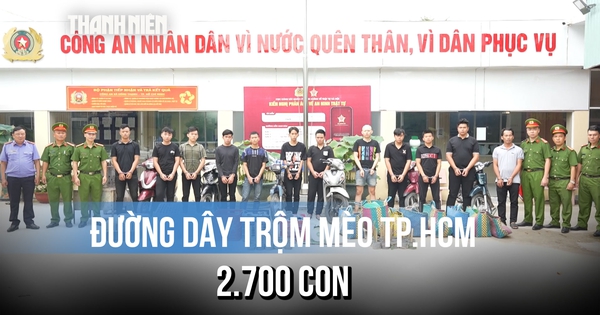 Bắt giam 'ông trùm' đường dây trộm mèo ở TP.HCM