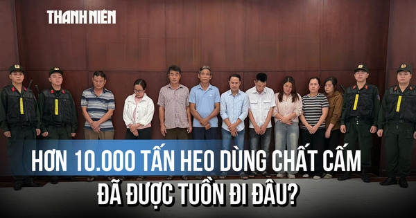Kinh hoàng đường dây vỗ béo heo bằng chất cấm, hơn 10.000 tấn đã ra thị trường?