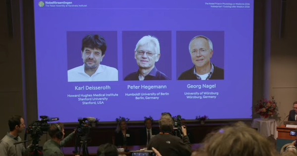 Giải Nobel Y sinh 2026 vinh danh nghiên cứu giải mã hoạt động của não bộ