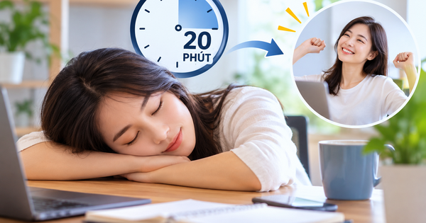 Có nên ngủ trưa mỗi ngày? Câu trả lời từ chuyên gia