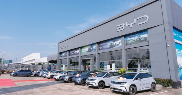 Cán mốc 1.000 xe BYD Dolphin: Mở rộng cộng đồng xe điện tại Việt Nam