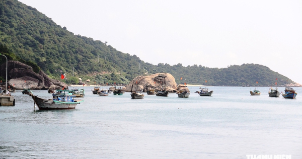 Cù Lao Chàm 'lên đời số' với camera AI, vé điện tử và tour thực tế ảo