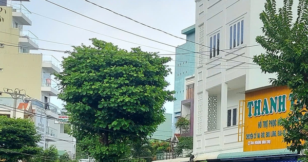 Clip chồng đánh vợ giữa đường tại Quy Nhơn: Công an vào cuộc