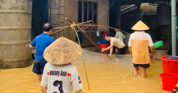 Ngon như cá nước lụt Lệ Thủy
