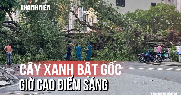 Hiện trường cây xanh bật gốc đường Đinh Tiên Hoàng ngay giờ cao điểm sáng