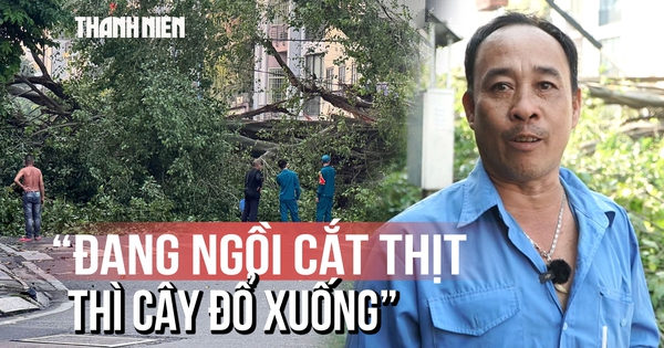 Lời kể khoảnh khắc cây lớn đổ ngang đường: 'Tôi bỏ chạy, khoảng 3 - 4 giây là cây ngã xuống'
