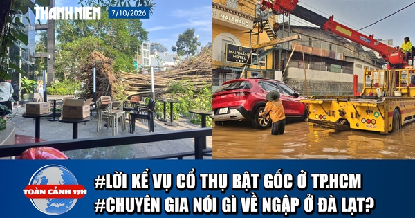 Toàn cảnh 17h: Lời kể lúc tháo chạy khi cây 20m đổ sập ở TP.HCM | Vì sao Đà Lạt mưa lớn ngập nhanh, rút nhanh?