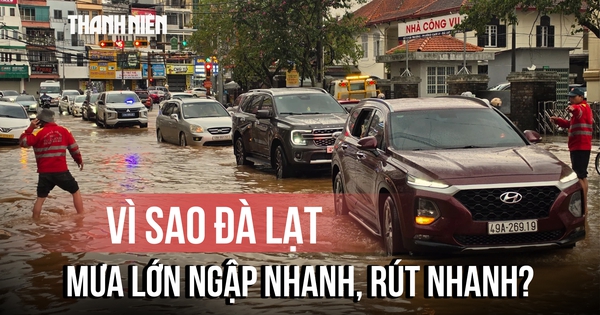 Đà Lạt ngập nhanh, rút nhanh sau mưa lớn: Bê tông hóa và nhà kính tác động ra sao?