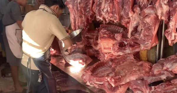 Giá heo hơi hôm nay 7.10.2026: Đà giảm lan rộng, cao nhất chỉ còn 55.000 đồng/kg