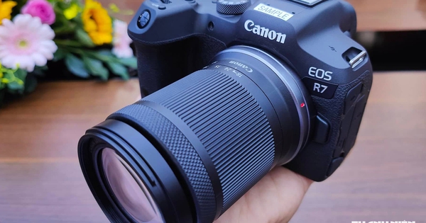 Những yếu tố giúp Canon giữ vững vị thế hàng đầu trên thị trường máy ảnh