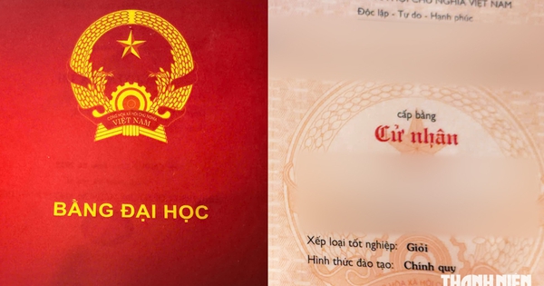 Bằng cấp 'đẹp' chưa đủ, doanh nghiệp nói 70% thành công nhờ vào thái độ